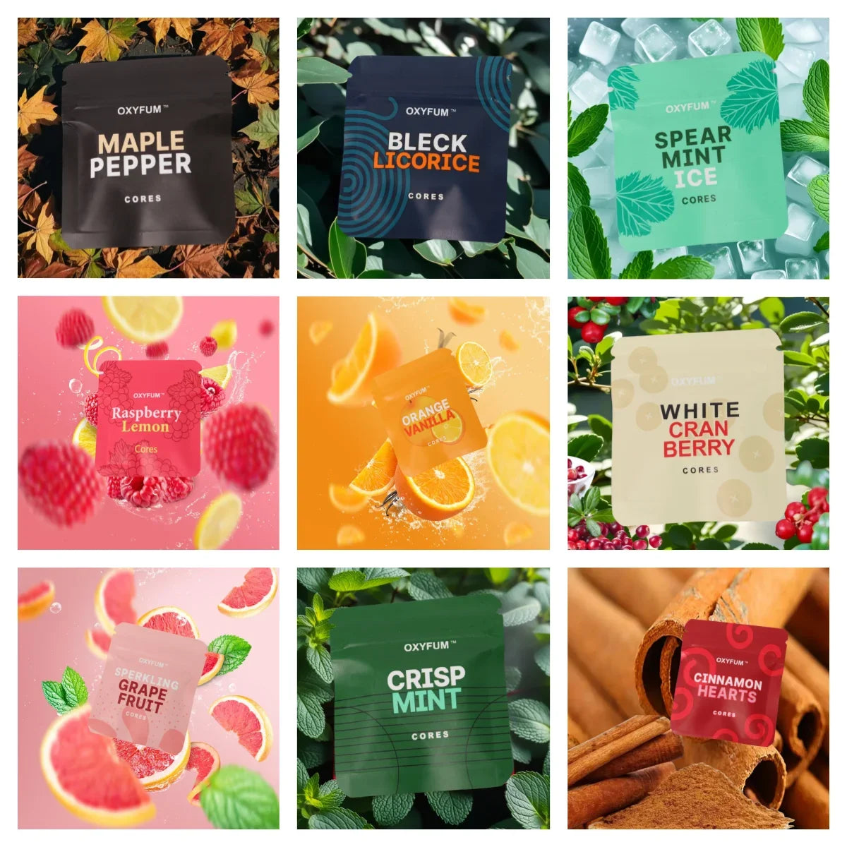 Oxyfum + 8 Flavours 1pc (Supplier 3)